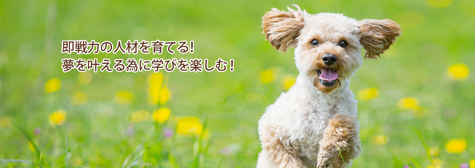 即戦力の人材を育てる!夢を叶えるために学びを楽しむ!